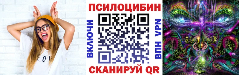 Псилоцибиновые грибы Magic Shrooms  сколько стоит  Михайловск 