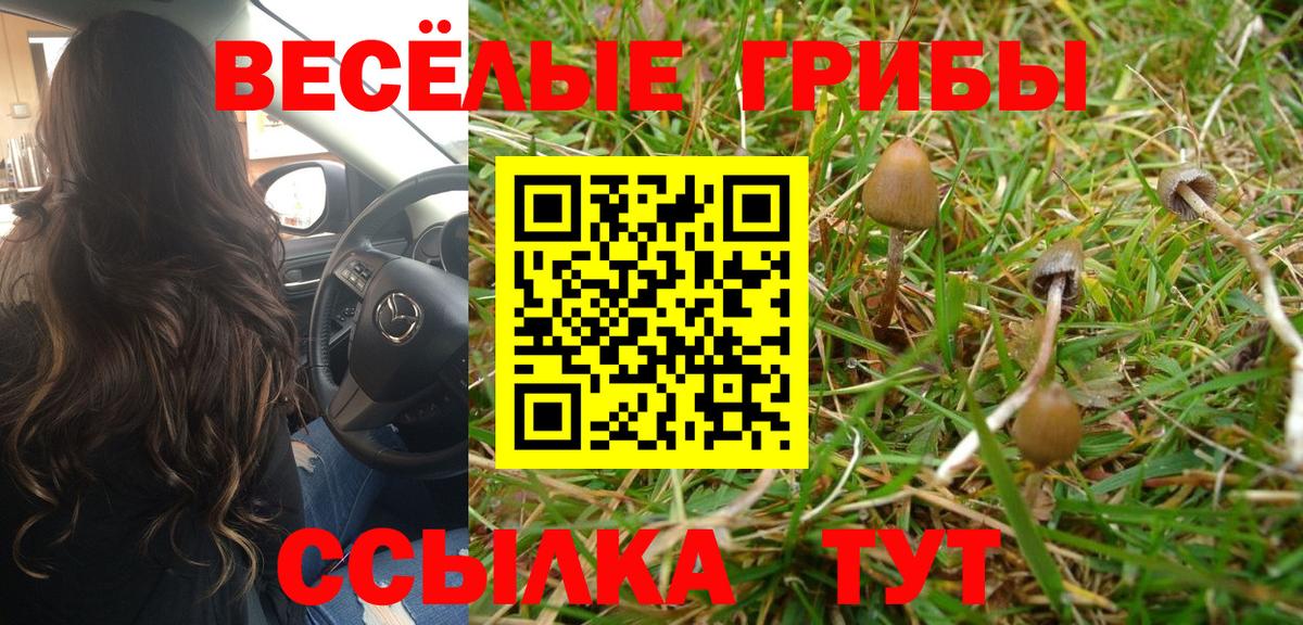 Галлюциногенные грибы Cubensis Михайловск