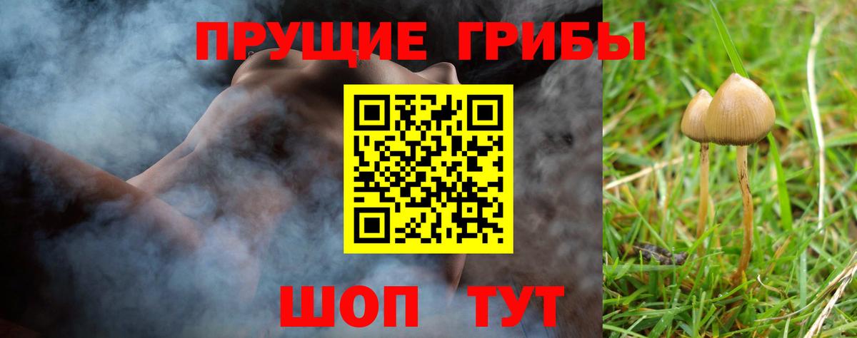 Галлюциногенные грибы MAGIC MUSHROOMS  Вход с VPN  Галлюциногенные грибы Magic Shrooms  Михайловск 
